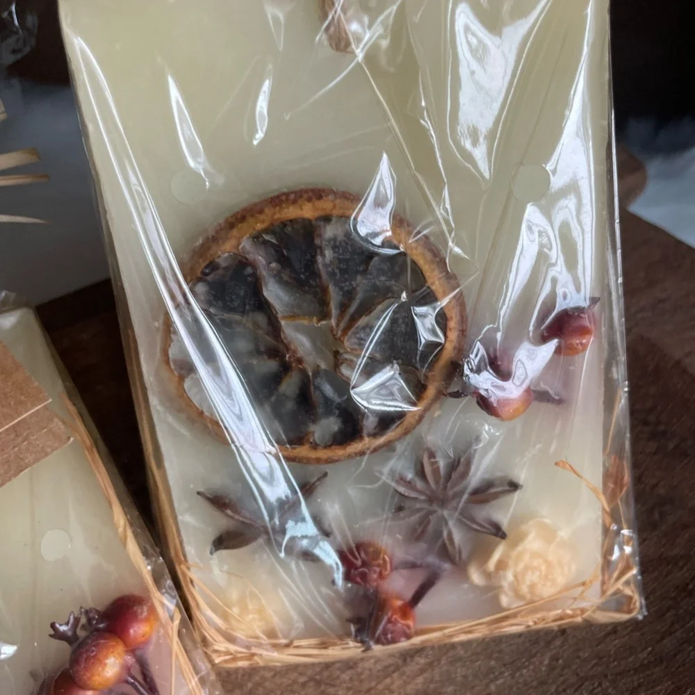 PIER 1 IMPORTS FALL BOTANICS FRAGRANCE WAX SACHET NEW (1 SACHET)